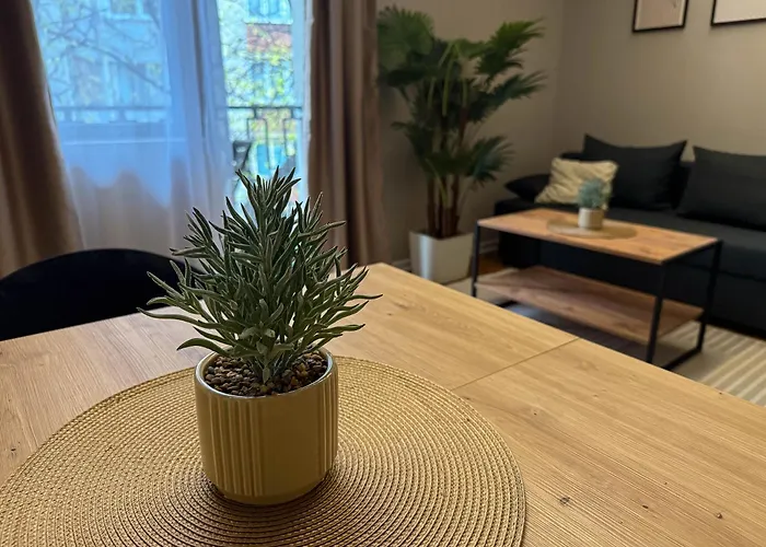 Apartament Millenium Center Ni