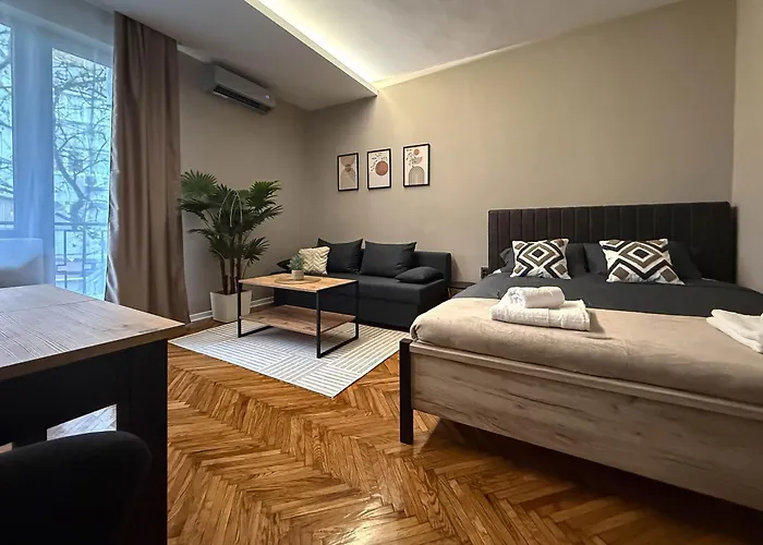 Apartament Millenium Center Ni