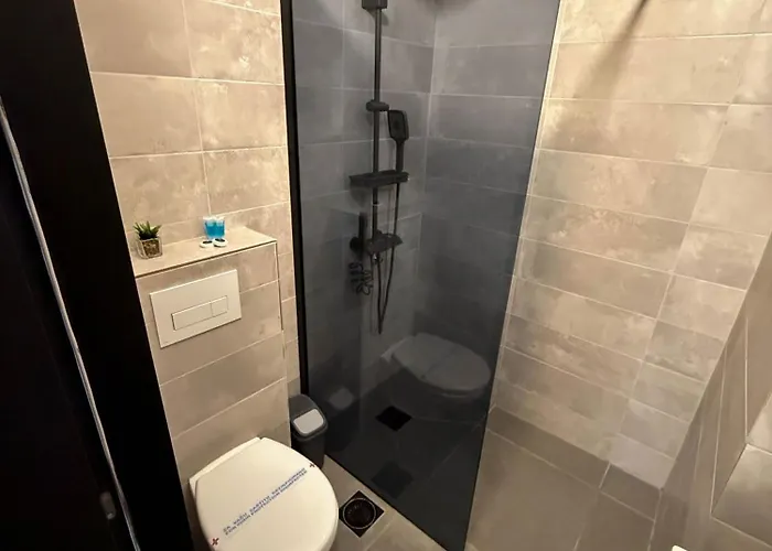 Millenium Center Apartament