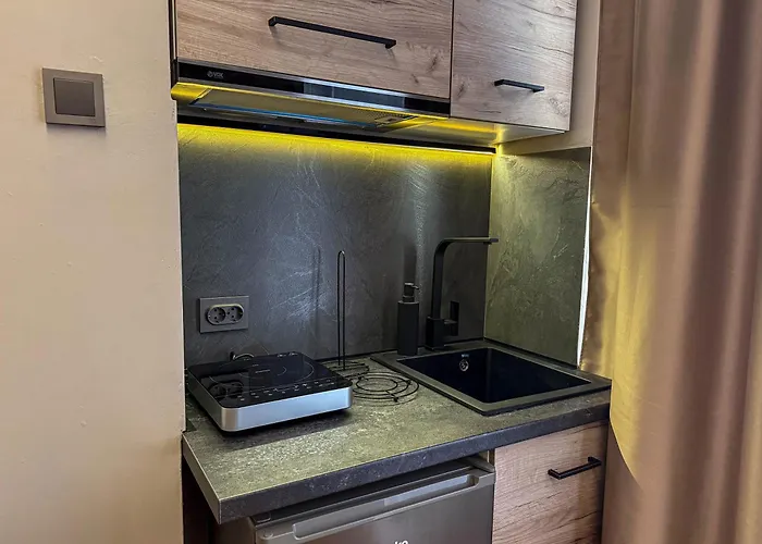 Apartament Millenium Center *